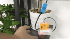 ../../_images/IMG_2579.GIF
