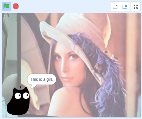 ../../../_images/faceai6.png