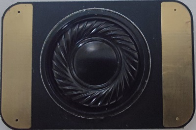 ../../_images/speaker.jpg